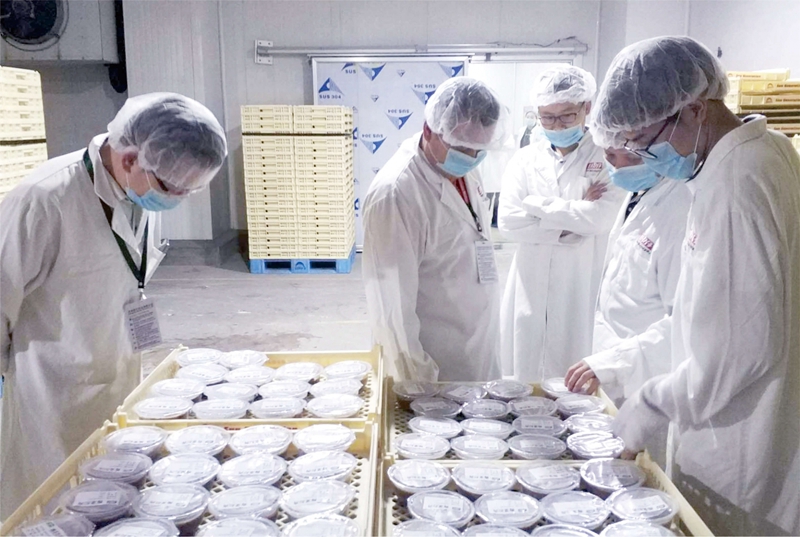 打工人福利到！食堂承包公司讓公司餐食更有格調(diào)！